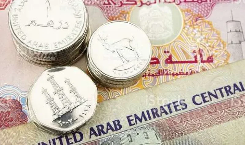 سعر الدرهم الإماراتي مقابل الجنيه المصري اليوم الأحد 3-3-2024