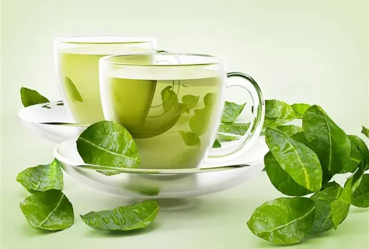 تفسير حلم الشاي الأخضر في المنام وعلاقته بالتغلب على الأحزان والهموم