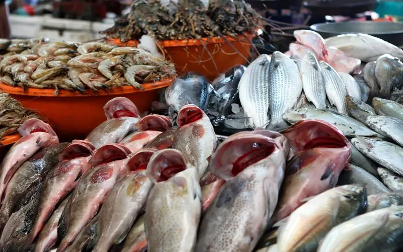 أسعار السمك الیوم الأحد 30-6-2024 في الأسواق